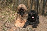 BRIARD 016